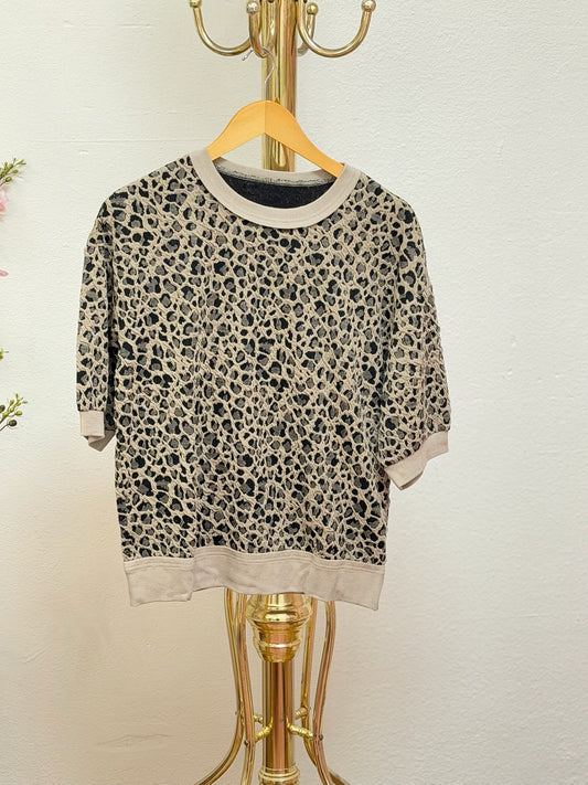 Leopard Wide Leg Pants Set
