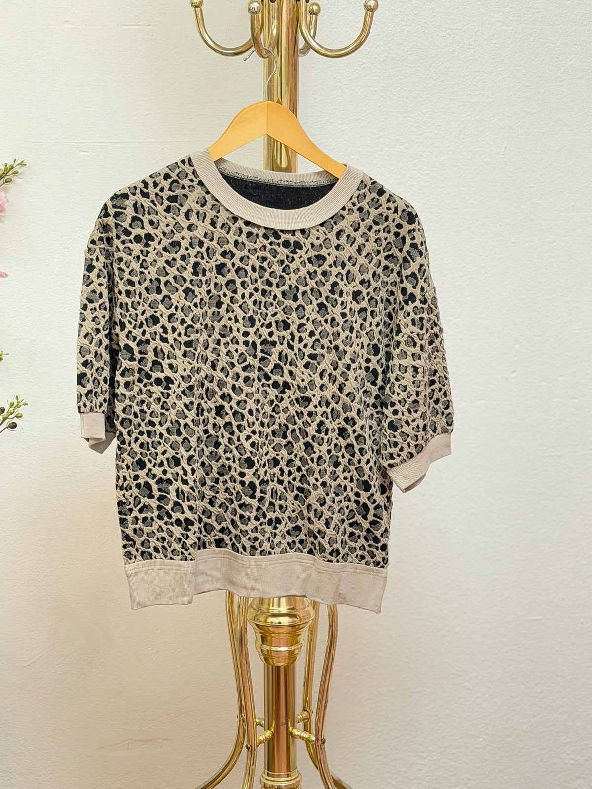 Leopard Wide Leg Pants Set